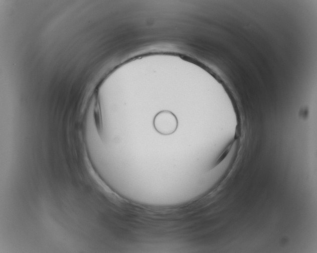 X0000112481342200909281100