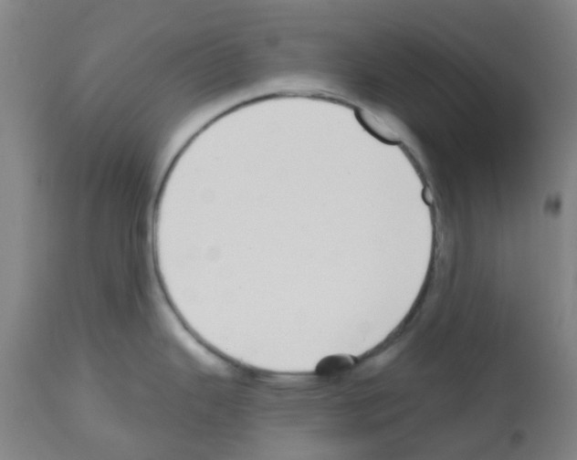 X0000112481343200909281100