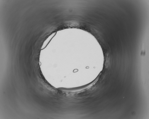 X0000112481345200909281059