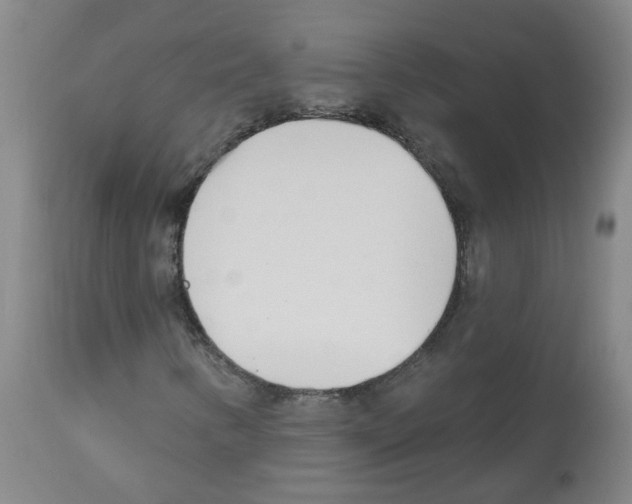 X0000112481346200909281059