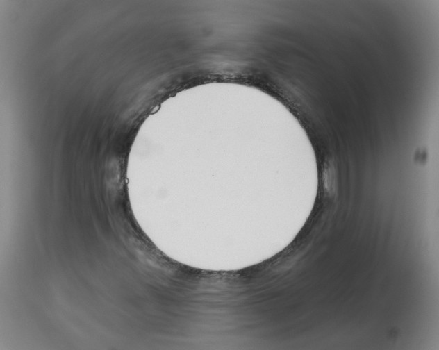 X0000112481347200909281059