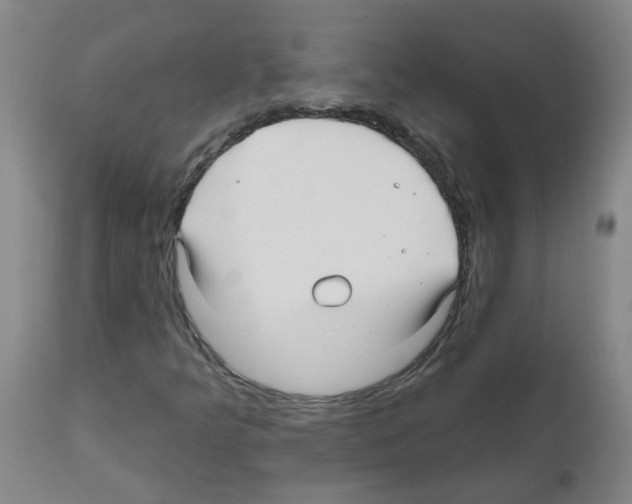 X0000112481349200909281059