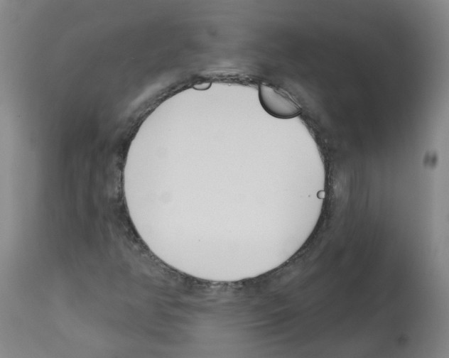 X0000112481350200909281059