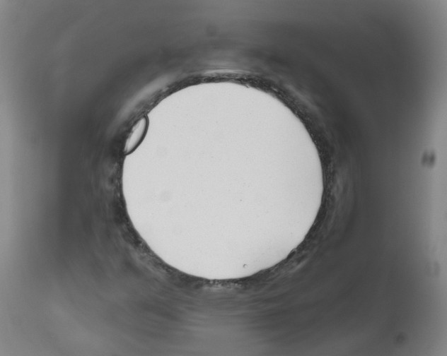 X0000112481351200909281059