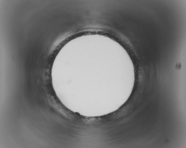 X0000112481352200909281059