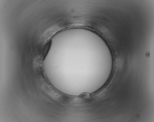 X0000112481353200909281059