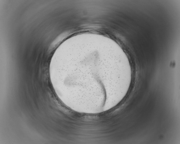 X0000112481354200909281059