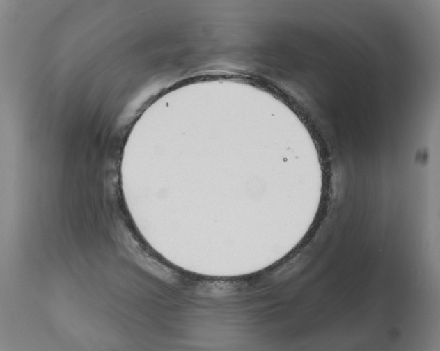 X0000112481355200909281059