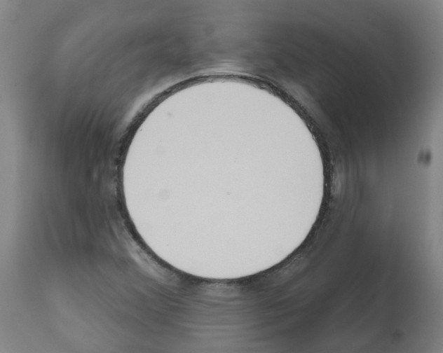 X0000112481356200909281059