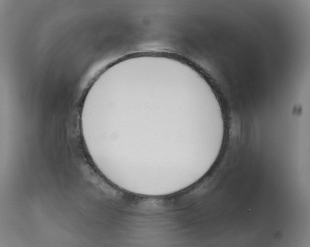 X0000112481358200909281059