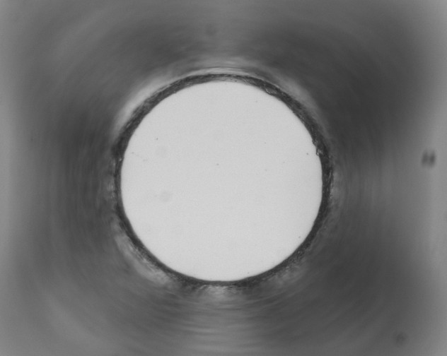 X0000112481360200909281059