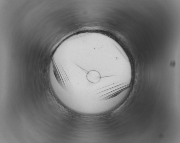 X0000112481361200909281059