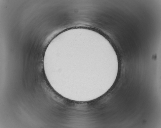 X0000112481363200909281059