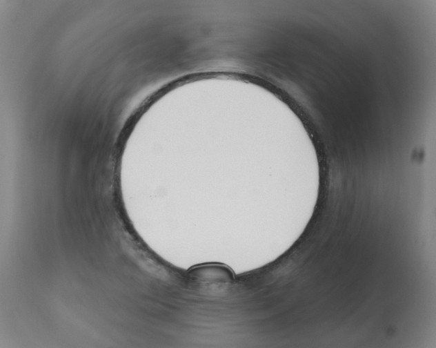 X0000112481364200909281059