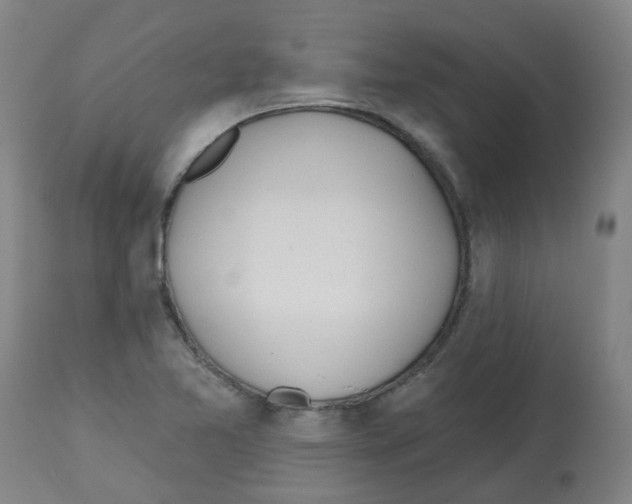 X0000112481365200909281059