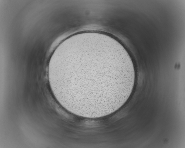 X0000112481366200909281059