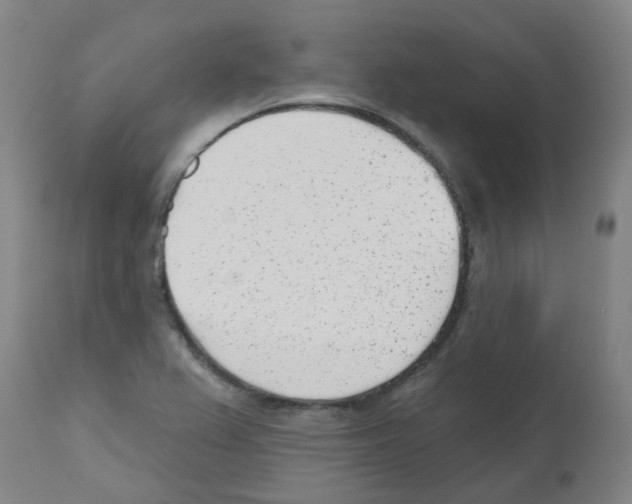 X0000112481367200909281059