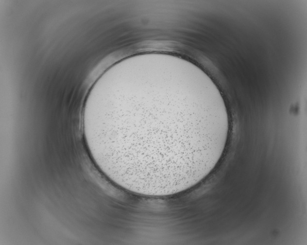 X0000112481370200909281059