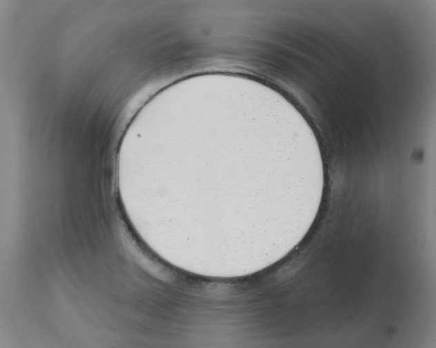 X0000112481371200909281059