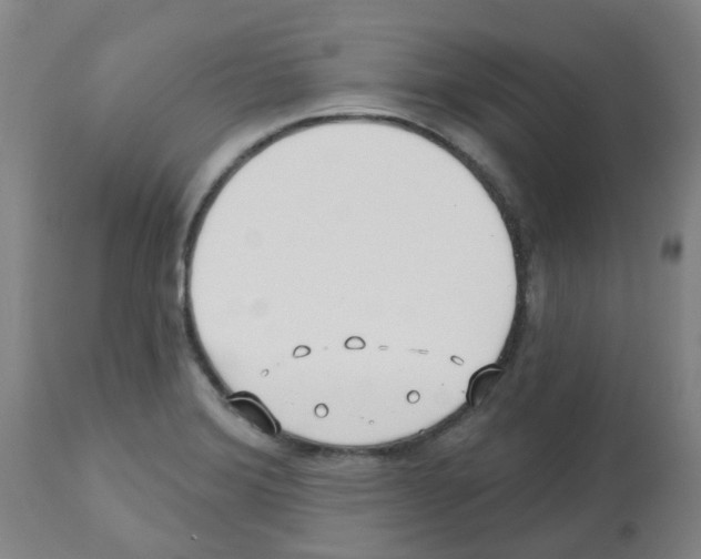 X0000112481372200909281059