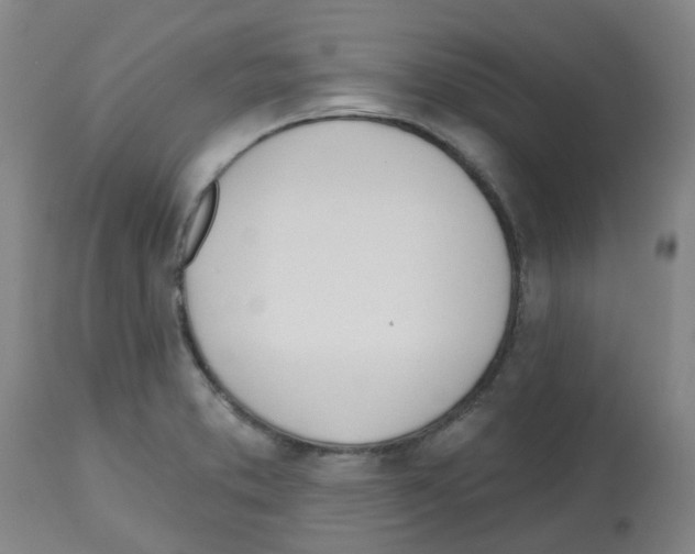 X0000112481373200909281059