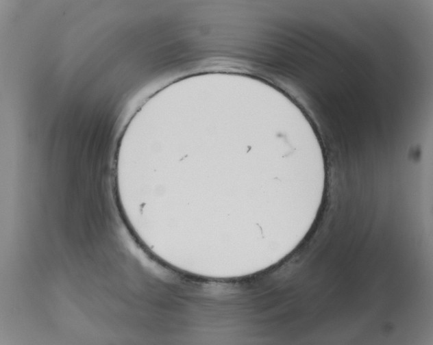 X0000112481379200909281059