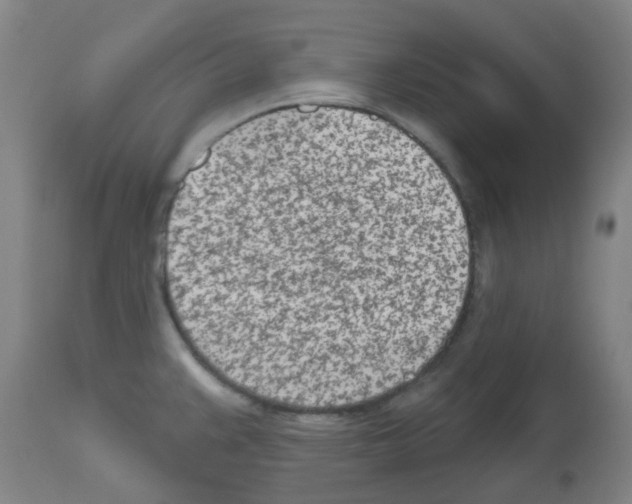 X0000112481383200909281059