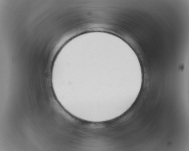 X0000112481384200909281059