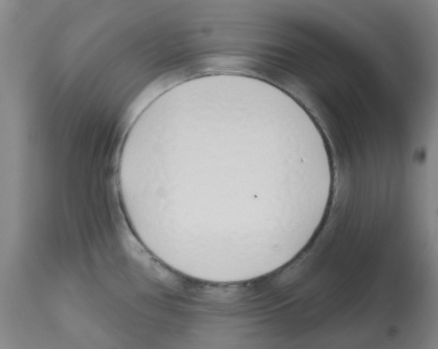 X0000112481386200909281059