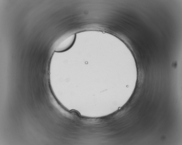 X0000112481387200909281059