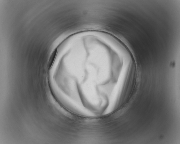 X0000112481389200909281059