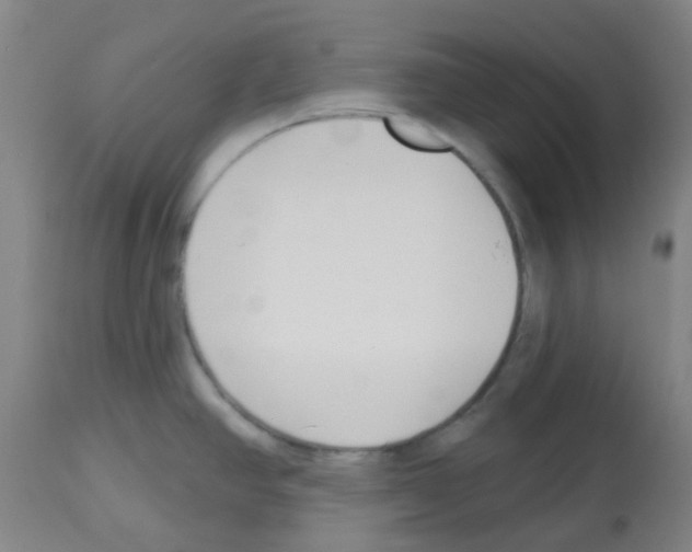 X0000112481390200909281059