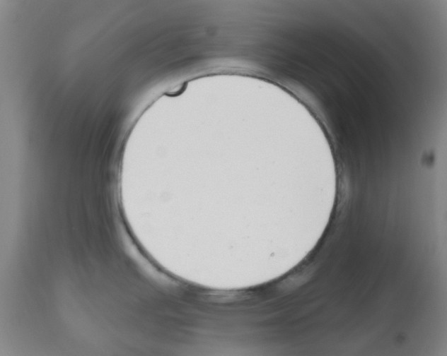 X0000112481391200909281059