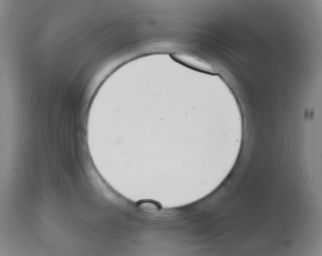 X0000112481392200909281059