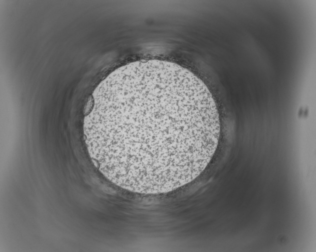 X0000112481393200909281058