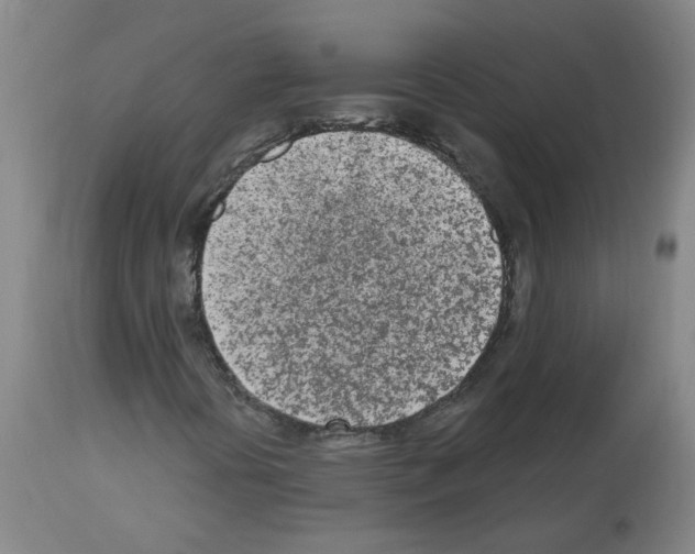 X0000112481394200909281058