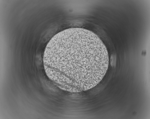 X0000112481395200909281058