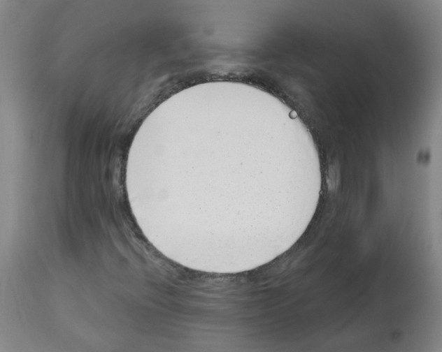 X0000112481396200909281058