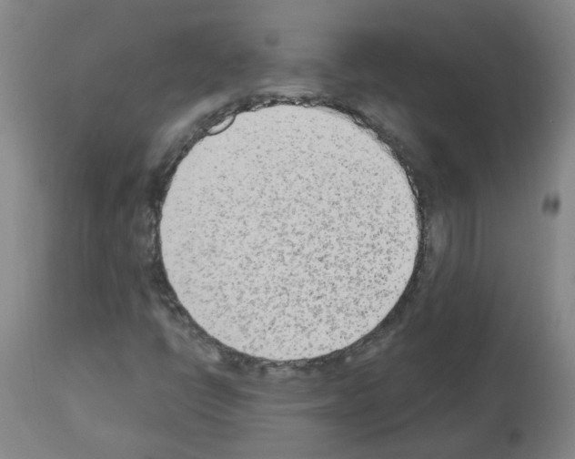 X0000112481398200909281058