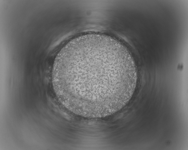 X0000112481399200909281058