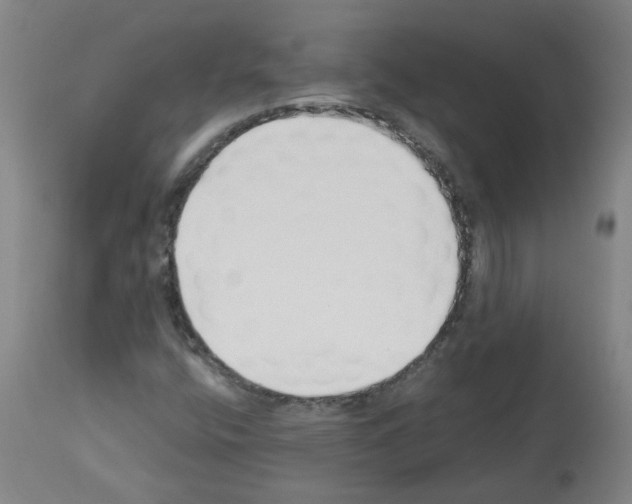 X0000112481400200909281058