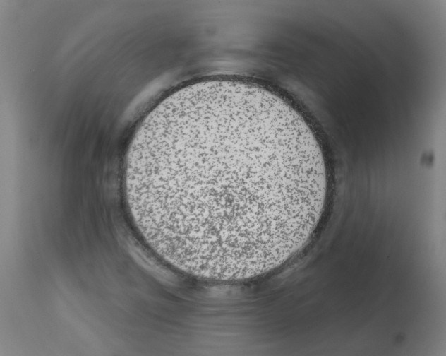 X0000112481403200909281058