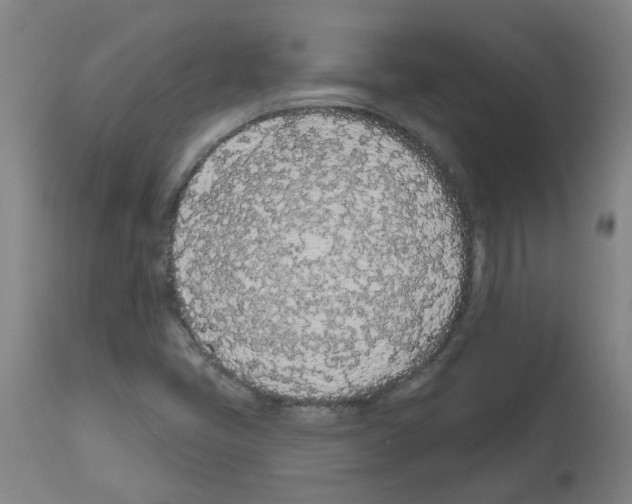 X0000112481405200909281058