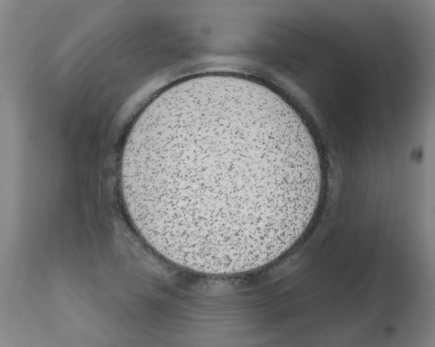 X0000112481411200909281058