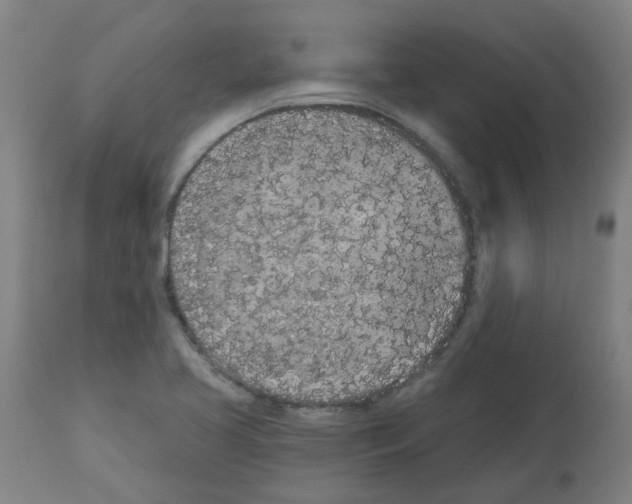 X0000112481413200909281058