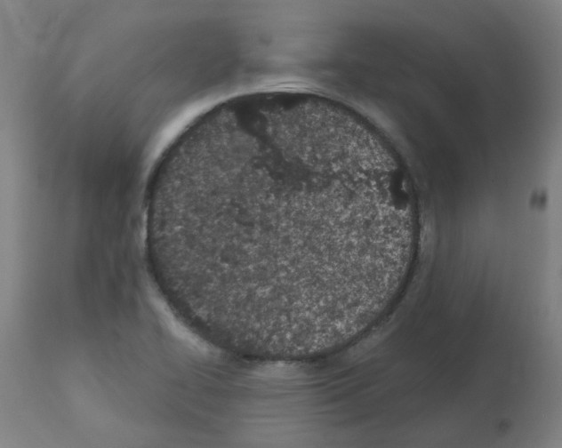 X0000112481414200909281058