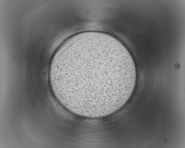 X0000112481415200909281058