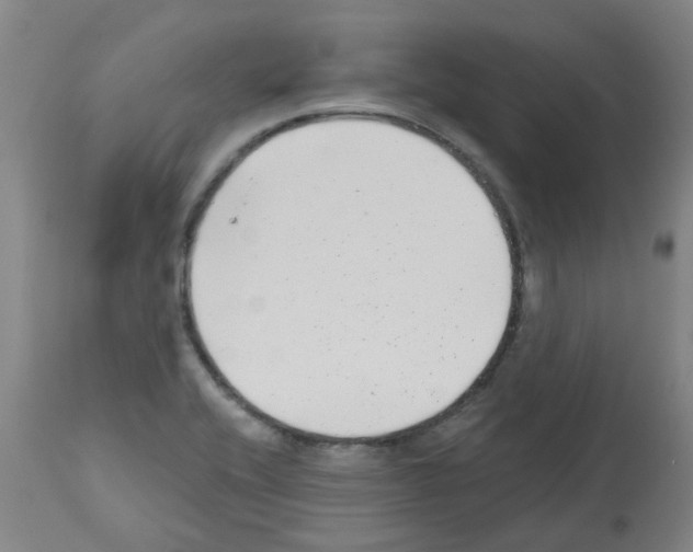 X0000112481416200909281058