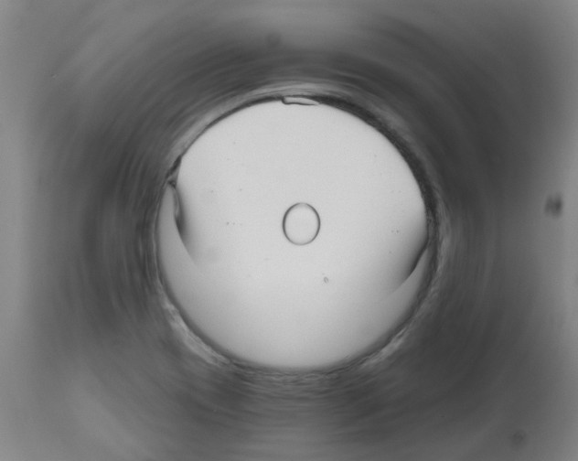 X0000112481417200909281058