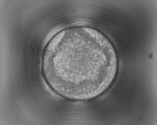 X0000112481418200909281058